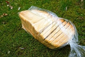 Brood